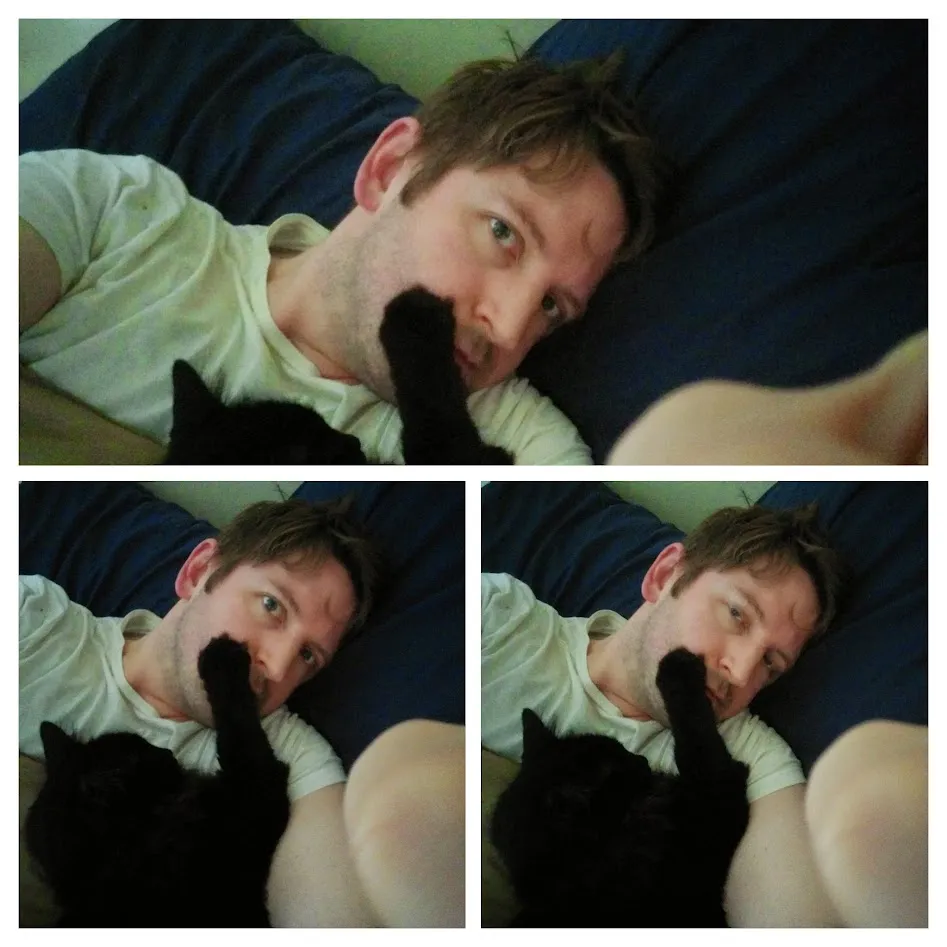 A collage of three pictures of a black long hair cat reaching out to place his paw on a dorky white man's face.