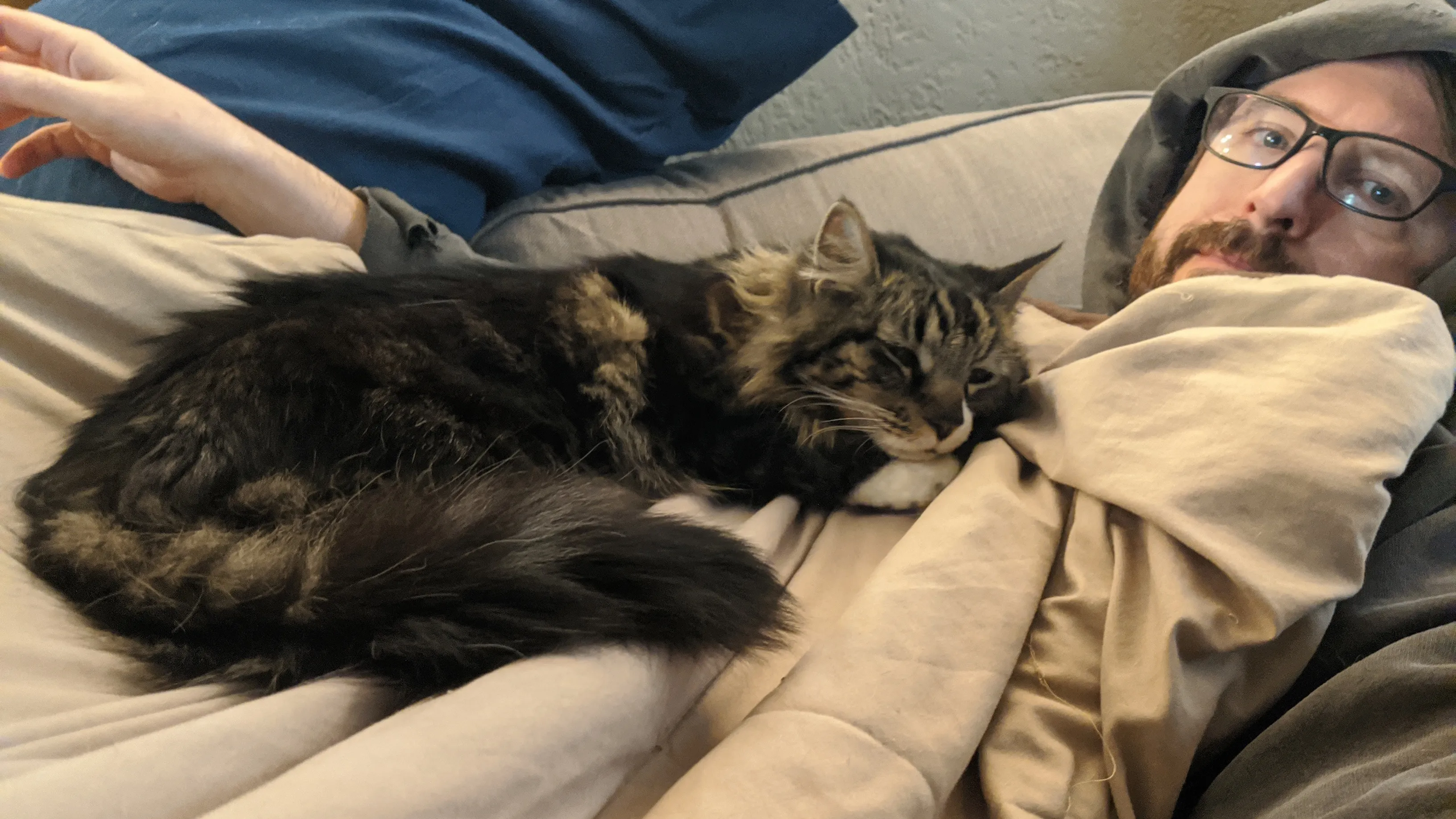 A large long-hair tabby cat stretched out on the torso of a man laying on a sofa.