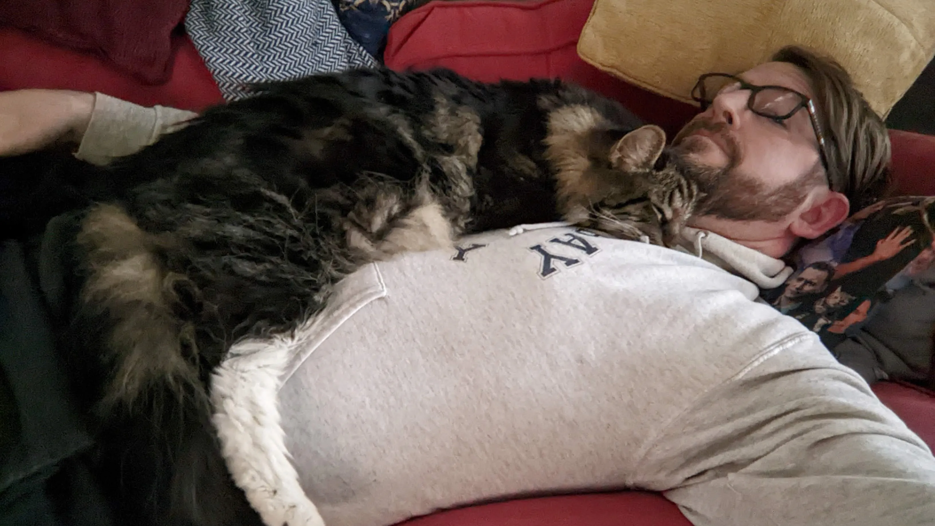 A large long-hair tabby cat stretched out on the torso of a man laying on a sofa.